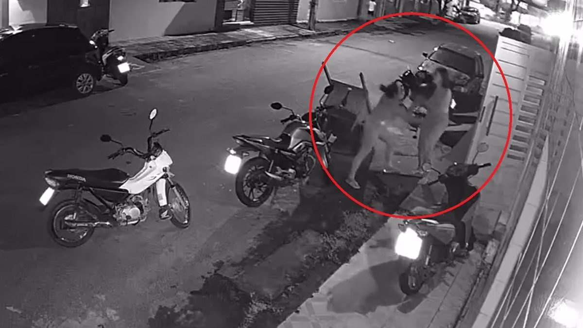 Enfermeira suspeita de esfaquear colega se apresenta à polícia e nega tentativa de homicídio