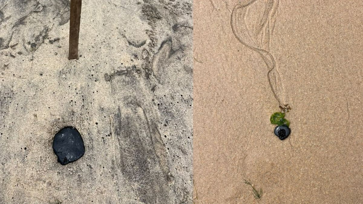 Manchas de óleo são encontradas em trecho do litoral de Maceió