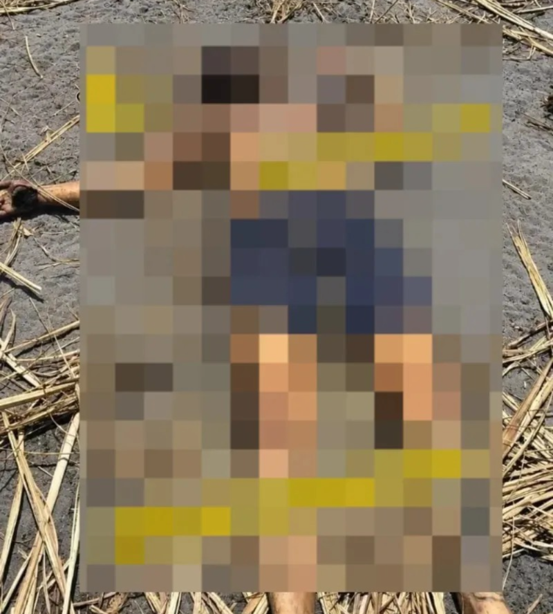 Grupo teria feito videochamada com mandante antes de retirar jovem algemado de casa em Maceió