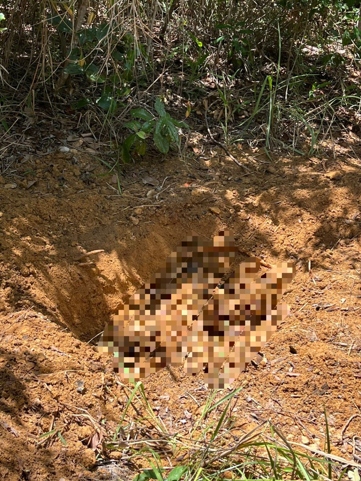 Corpo em decomposição é encontrado em São Miguel dos Milagres; vítima usava peça com referência a Harry Potter