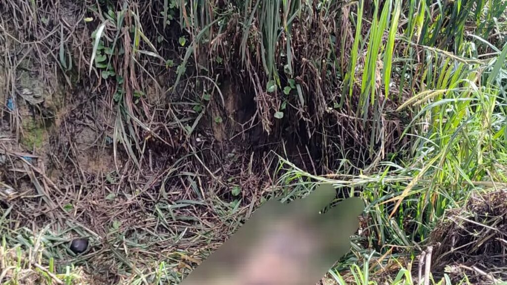 Crueldade extrema: homem é morto com cerca de 40 facadas e corpo é encontrado dentro de vala