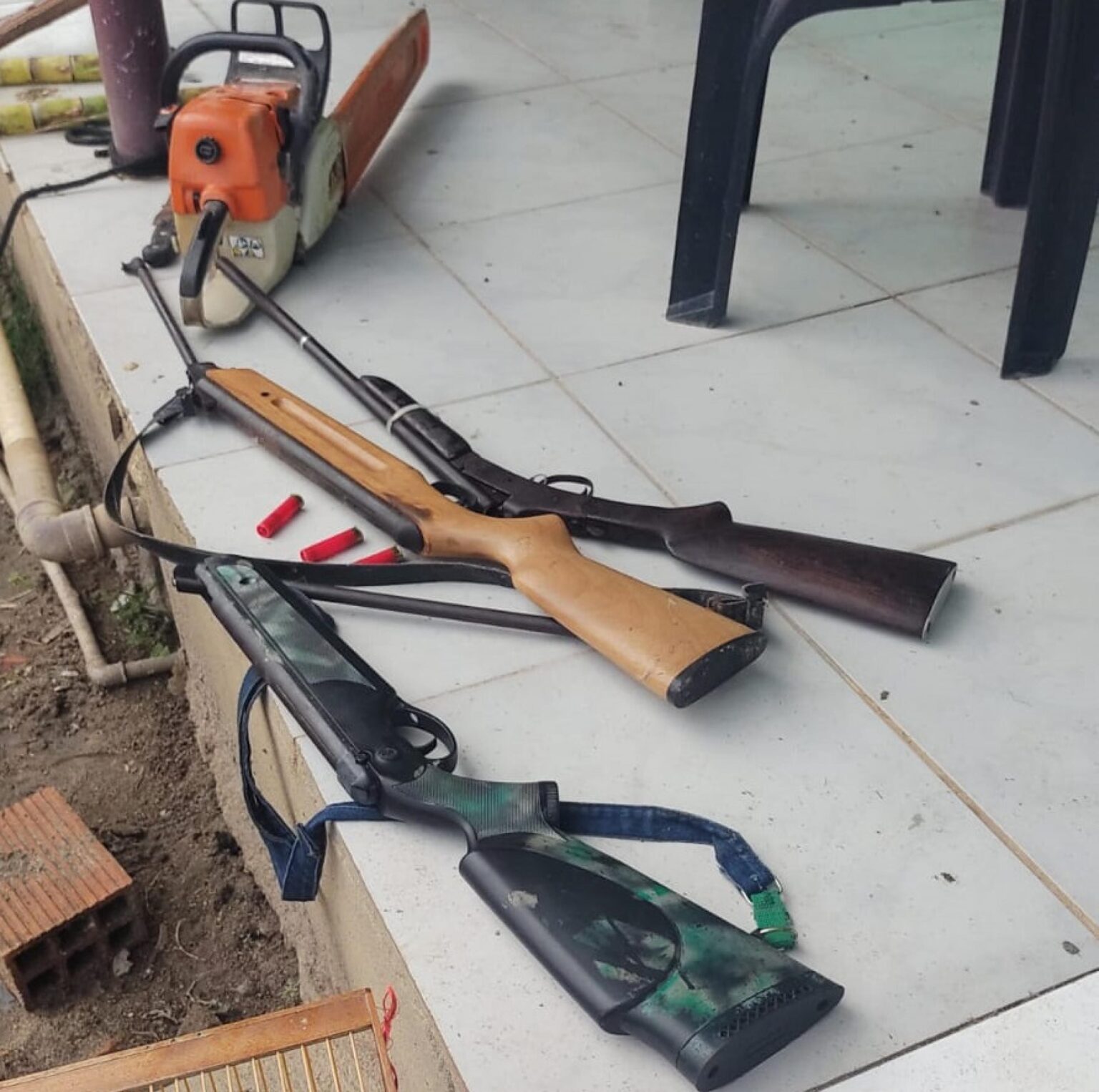 PM-AL apreende armas, resgata 60 pássaros silvestres e interdita abate clandestino em operação